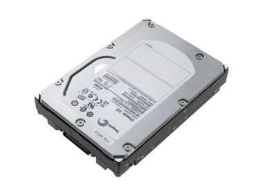 Dysk twardy Seagate Cheetah NS 300GB 10K FC 4G 3.5" 512e 16MB ST3300955FC