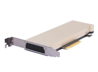 Graphics card Nvidia Ampere A2 Tensor 16GB GDDR6 PCIe 4.0x8 HHHL 60W 128bit MG5JX